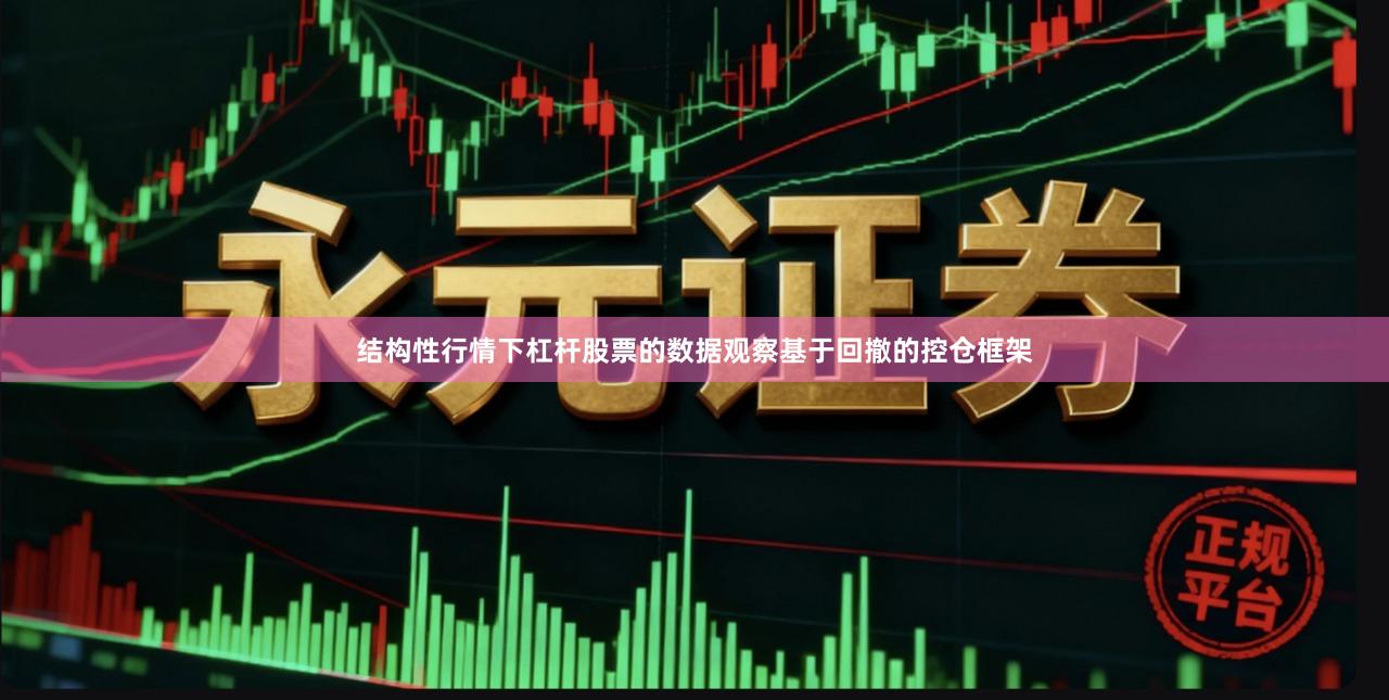 结构性行情下杠杆股票的数据观察基于回撤的控仓框架